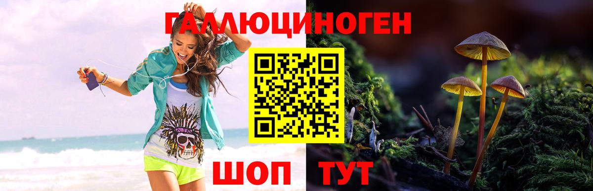 Псилоцибиновые грибы прущие грибы  Галлюциногенные грибы мицелий  Вход с VPN  Канаш 